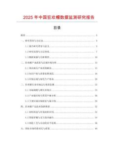 2025年中國狂歡帽數(shù)據(jù)監(jiān)測研究報告