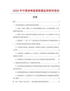 2025年中國澆鑄蓋板數據監測研究報告