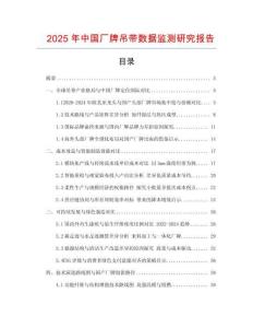 2025年中國廠牌吊帶數據監測研究報告