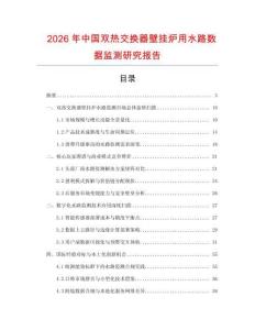 2026年中國雙熱交換器壁掛爐用水路數據監測研究報告