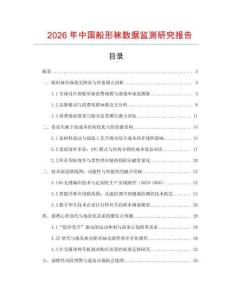 2026年中國船形襪數據監測研究報告