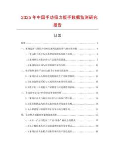 2025年中國手動扭力扳手數據監測研究報告
