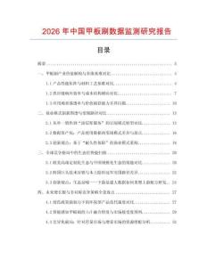 2026年中國甲板刷數據監測研究報告