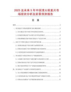 2025及未來5年中國清火梔麥片市場現(xiàn)狀分析及前景預(yù)測報告
