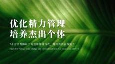 實踐指南丨優化精力管理培養杰出個體