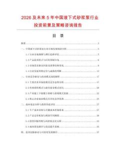 2026及未来5年中国液下式砂浆泵行业投资前景及策略咨询报告