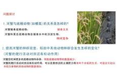 群落的結構課件2025-2026學年高二上學期生物人教版選擇性必修2