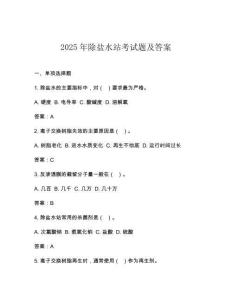 2025年除鹽水站考試題及答案