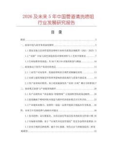 2026及未來5年中國管道清洗噴咀行業發展研究報告