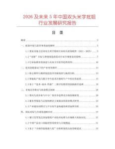 2026及未來5年中國雙頭米字批咀行業發展研究報告