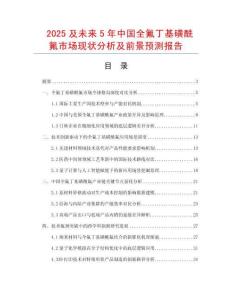 2025及未來5年中國全氟丁基磺酰氟市場現狀分析及前景預測報告