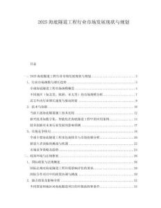 2025海底隧道工程行業(yè)市場(chǎng)發(fā)展現(xiàn)狀與規(guī)劃