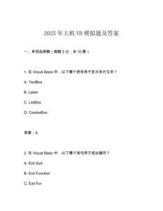 2025年大機VB模擬題及答案