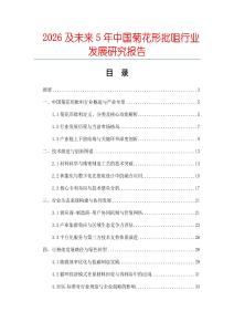 2026及未來5年中國菊花形批咀行業發展研究報告