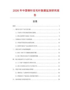 2026年中國鋼針拉毛針數據監測研究報告