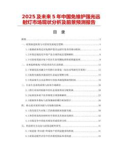 2025及未来5年中国免维护强光远射灯市场现状分析及前景预测报告