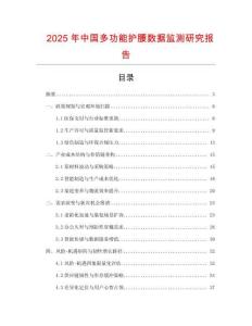 2025年中國多功能護腰數據監測研究報告
