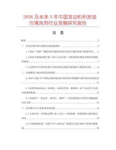 2026及未來5年中國發動機積炭油污清洗劑行業發展研究報告
