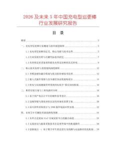 2026及未來5年中國充電型巡更棒行業發展研究報告