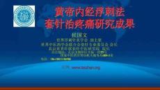 2024岐黃文化國際論壇：黃帝內經浮刺法套針治疼痛研究成果