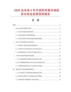 2025及未來5年中國羥丙基市場現狀分析及前景預測報告