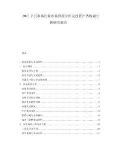 2025下沉市場行業市場供需分析及投資評估規劃分析研究報告