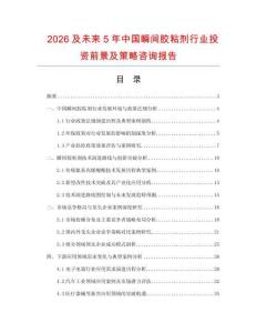 2026及未來5年中國瞬間膠粘劑行業投資前景及策略咨詢報告