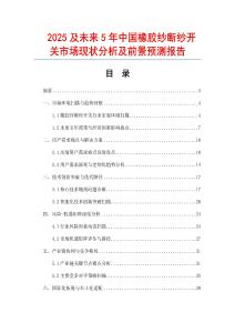 2025及未來5年中國橡膠紗斷紗開關市場現狀分析及前景預測報告