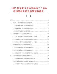 2025及未來5年中國導電ＰＳ片材市場現狀分析及前景預測報告