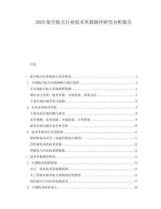 2025航空航天行業(yè)技術(shù)革新路徑研究分析報(bào)告