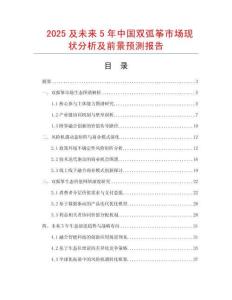 2025及未來5年中國雙弧箏市場現狀分析及前景預測報告