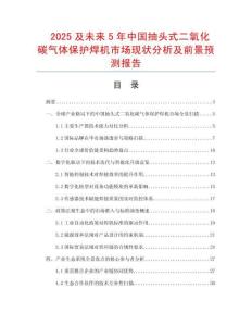 2025及未來5年中國抽頭式二氧化碳氣體保護焊機市場現狀分析及前景預測報告