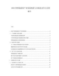 2025智慧旅游的產業(yè)發(fā)展現(xiàn)狀與市場化競爭力分析報告