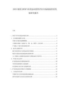 2025現狀分析礦業采選業投資評估市場規劃供需發展研究報告