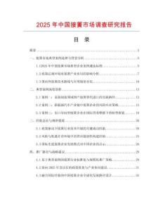 2025年中國接簧市場調查研究報告