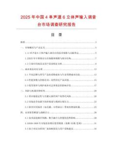 2025年中國4單聲道6立體聲輸入調音臺市場調查研究報告