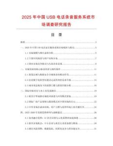 2025年中國(guó)USB電話錄音服務(wù)系統(tǒng)市場(chǎng)調(diào)查研究報(bào)告