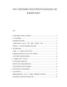 2025互聯(lián)網(wǎng)金融行業(yè)技術(shù)革新評(píng)估及商業(yè)前景與投資規(guī)劃研究報(bào)告
