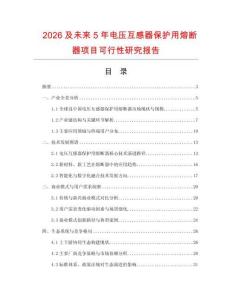 2026及未來5年電壓互感器保護用熔斷器項目可行性研究報告