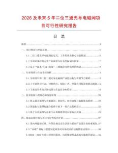 2026及未來5年二位三通先導電磁閥項目可行性研究報告