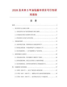 2026及未來5年油氈基布項(xiàng)目可行性研究報告