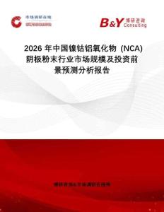 2026年中國鎳鈷鋁氧化物 (NCA) 陰極粉末行業(yè)市場規(guī)模及投資前景預測分析報告