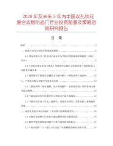 2026年及未來5年內(nèi)中國雙孔鐵花復(fù)合雙層防盜門行業(yè)投資前景及策略咨詢研究報(bào)告