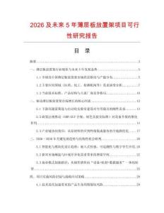2026及未來5年薄層板放置架項(xiàng)目可行性研究報(bào)告
