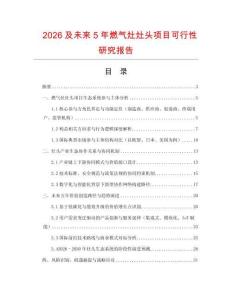2026及未來5年燃氣灶灶頭項目可行性研究報告