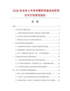 2026及未來5年單雙臂兩用直流電橋項目可行性研究報告