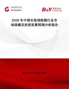 2026年中國長槍保險箱行業市場規模及投資前景預測分析報告