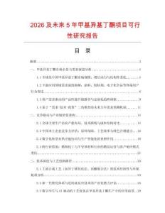 2026及未來5年甲基異基丁酮項目可行性研究報告