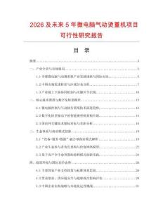 2026及未來5年微電腦氣動燙重機項目可行性研究報告