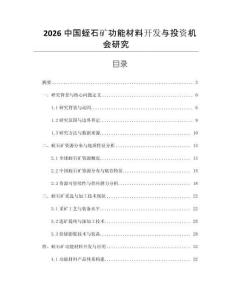 2026中國蛭石礦功能材料開發與投資機會研究
